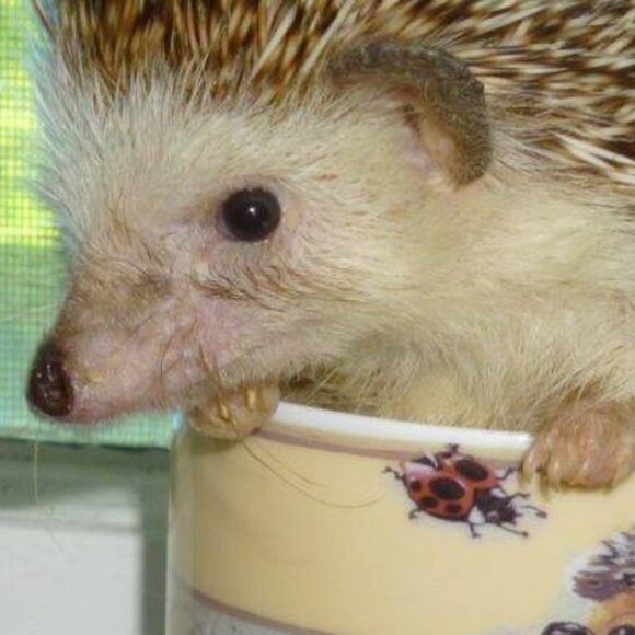 Meet your Posher, Christine - Picture 2 of 9